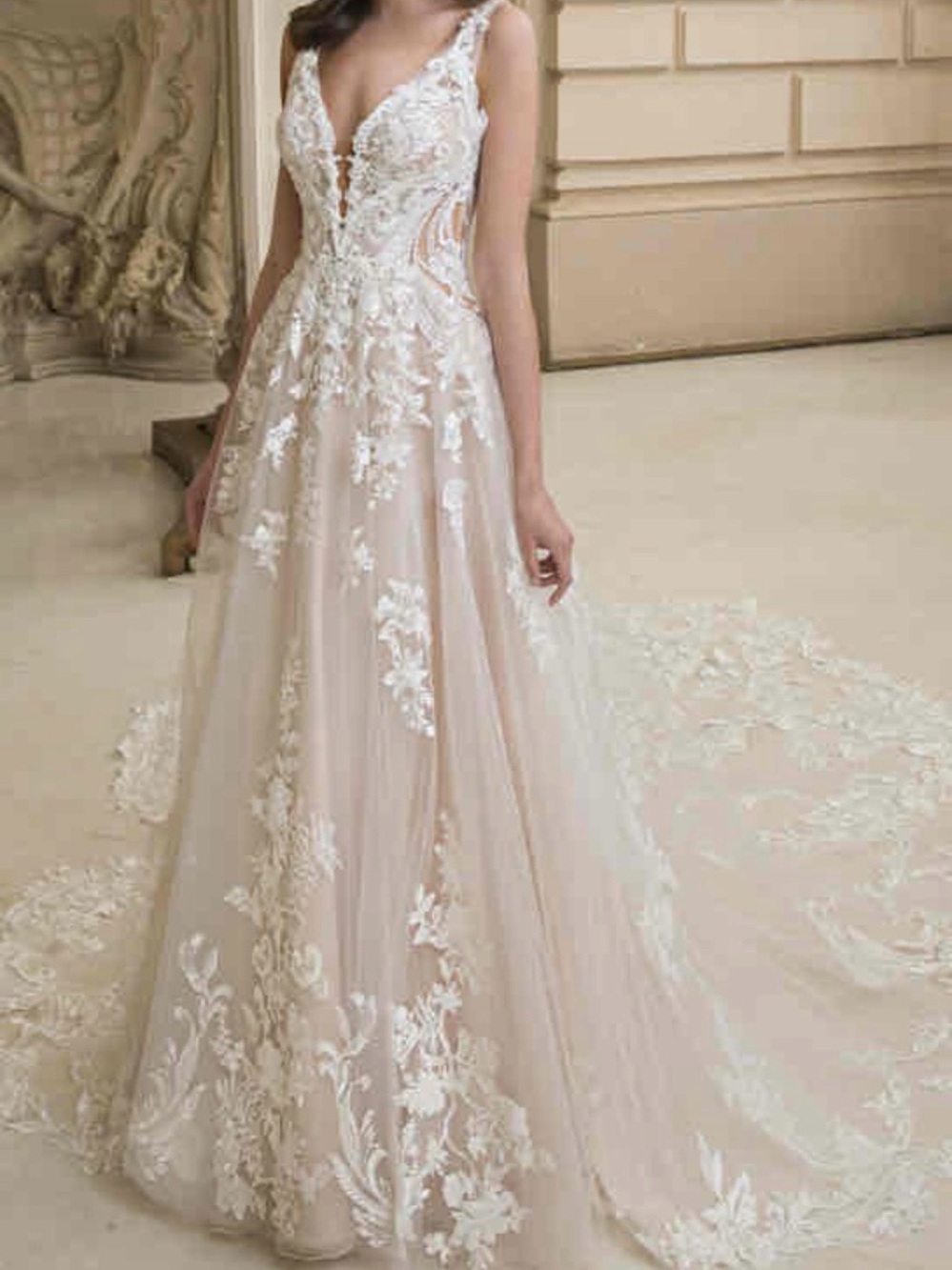 Lace Appliqué A-Line Wedding Dress in Blush